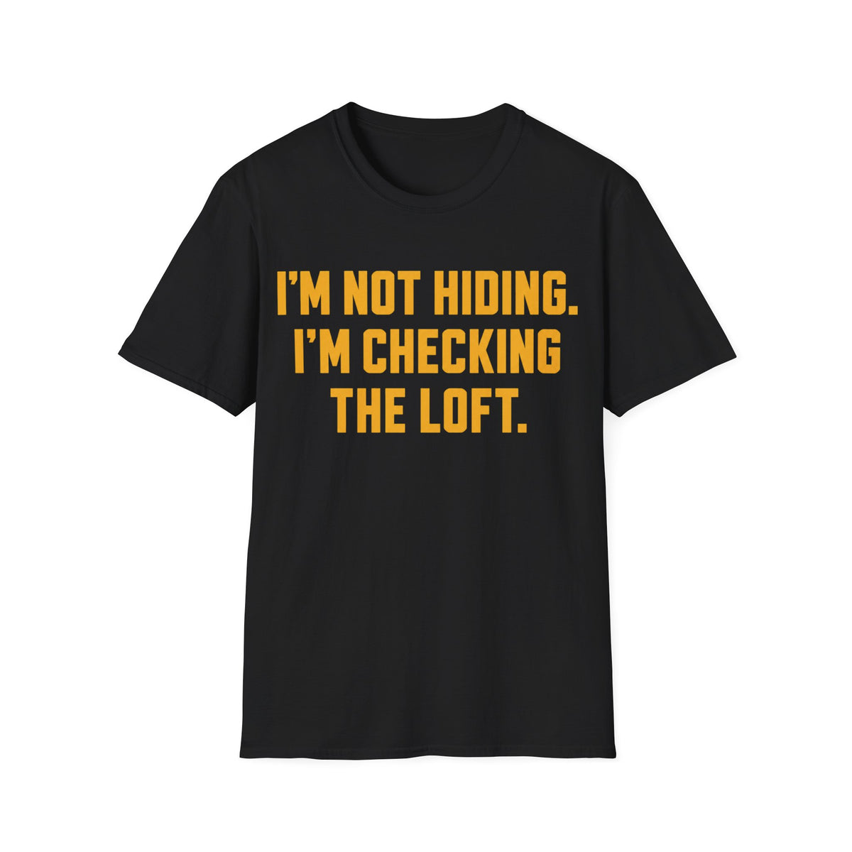 Checking The Loft