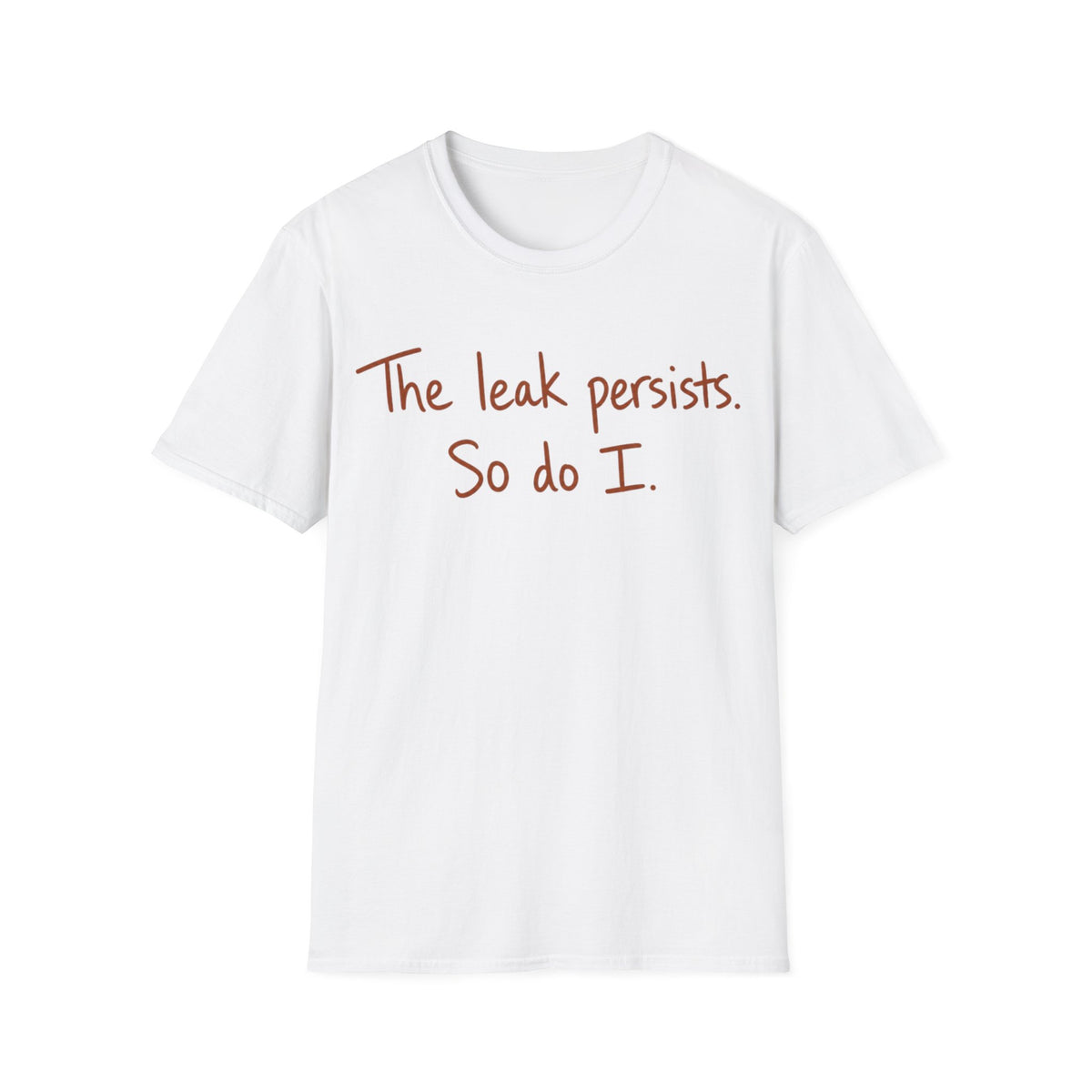 Leak Persists