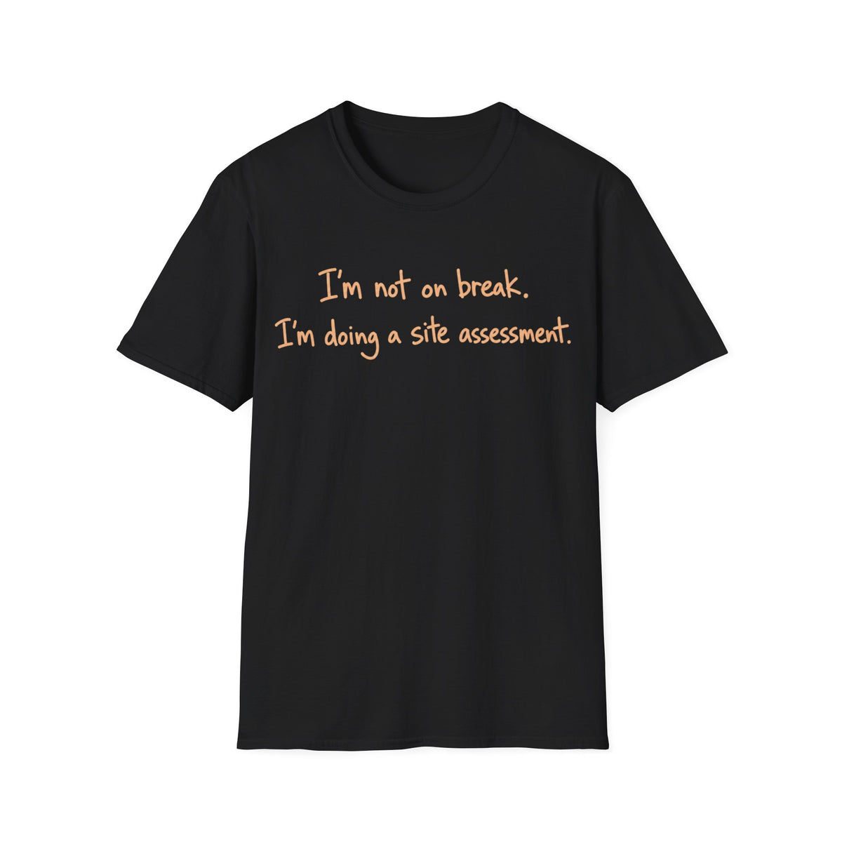 Site Assessment